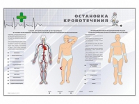 Электрифицированный стенд "Остановка кровотечения" - «globural.ru» - Хабаровск