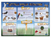 Стенд-уголок "Друзья наши меньшие" - «globural.ru» - Хабаровск
