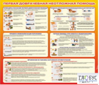 Стенд "Первая доврачебная неотложная помощь" - «globural.ru» - Хабаровск