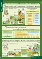 Биология 10-11 класс. Эволюционное учение (комплект таблиц) - «globural.ru» - Хабаровск