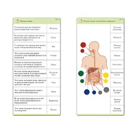 Комплект карточек (10) "Обучающий калейдоскоп. Человек" - «globural.ru» - Хабаровск