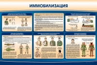 Стенд "Иммобилизация" - «globural.ru» - Хабаровск