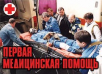 Комплект плакатов "Первая медицинская помощь" - «globural.ru» - Хабаровск