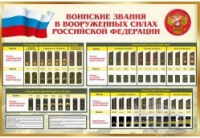 Стенд "Воинские звания в вооруженных силах российской федерации" - «globural.ru» - Хабаровск