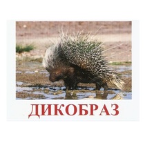 Карточки Домана "Дикие животные-3" - «globural.ru» - Хабаровск
