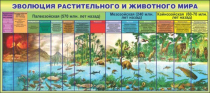 Стенд "Эволюция растительного и животного мира" - «globural.ru» - Хабаровск