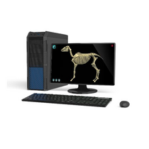 Макет масштабный «Скелет Лошади» Масштаб 1:2 - «globural.ru» - Хабаровск