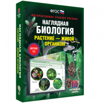 Наглядная биология. Растение - живой организм - «globural.ru» - Хабаровск