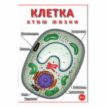 DVD Клетка - "атом жизни" - «globural.ru» - Хабаровск