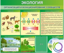 Стенд "Экология. Организация и функционирование сообществ" - «globural.ru» - Хабаровск