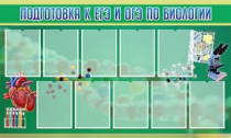 Стенд "Подготовка к ЕГЭ и ОГЭ по биологии" (вариант 2) - «globural.ru» - Хабаровск