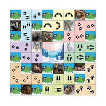 Коврик для логобота Пчелка "Следы животных" - «globural.ru» - Хабаровск