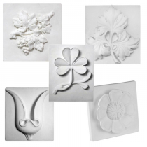 Комплект гипсовых моделей растений  - «globural.ru» - Хабаровск