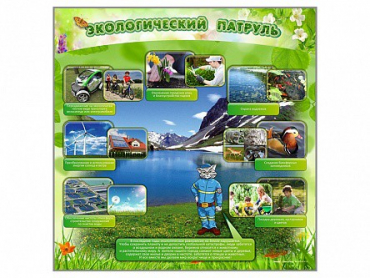 Стенд "Экологический патруль" - «globural.ru» - Хабаровск