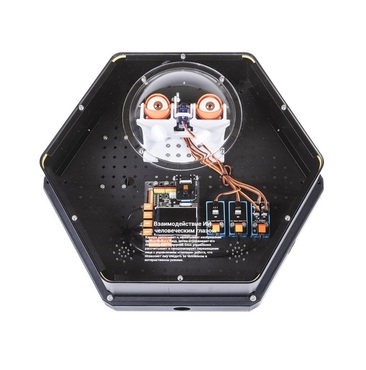 Модуль интерактивный с искусственным интеллектом "Наблюдатель" - «globural.ru» - Хабаровск