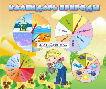 Стенд "Календарь природы" (вариант 1) - «globural.ru» - Хабаровск