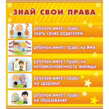 Стенд "Знай свои права" - «globural.ru» - Хабаровск