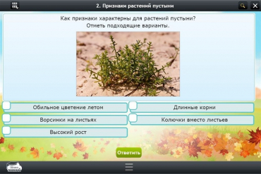 Интерактивные курсы. Окружающий мир 3 класс. Базовый - «globural.ru» - Хабаровск