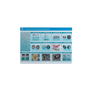 Стенд-планшет светодинамический «Изучение систематики и номенклатуры микроорганизмов» - «globural.ru» - Хабаровск