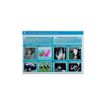 Стенд-планшет светодинамический «Изучение асептических и гнойных воспалительных процессов» - «globural.ru» - Хабаровск